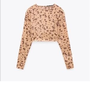 Zara Tan Floral Long Sleeve Crop Top Flaw